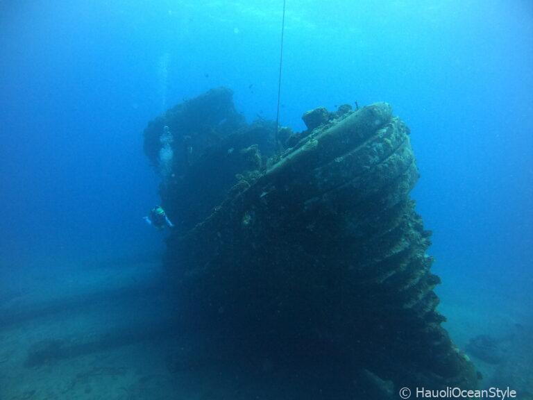 Read more about the article 8月29日 クラブ活動 〜 ピナクルズ & ネイビータグボートでファンダイビング!