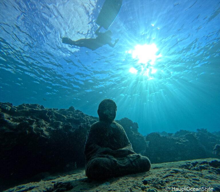 Read more about the article イルカに会えた!西オアフシュノーケリングツアー!