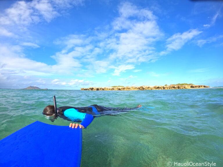 Read more about the article 3日間貸切りシュノーケリングでハワイの海を満喫!